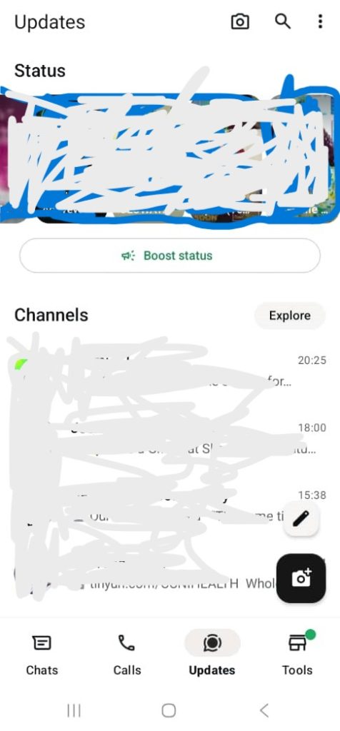 Open the WhatsApp Business app